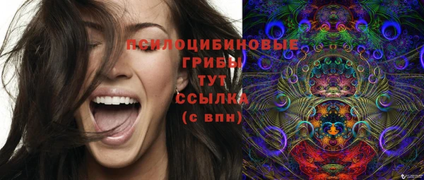 молекула духа Заволжск