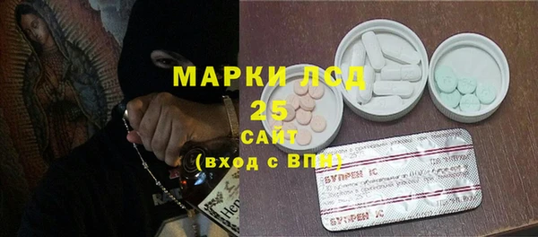 хмурый Инта