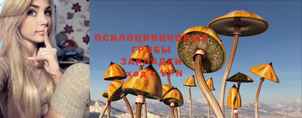 хмурый Инта