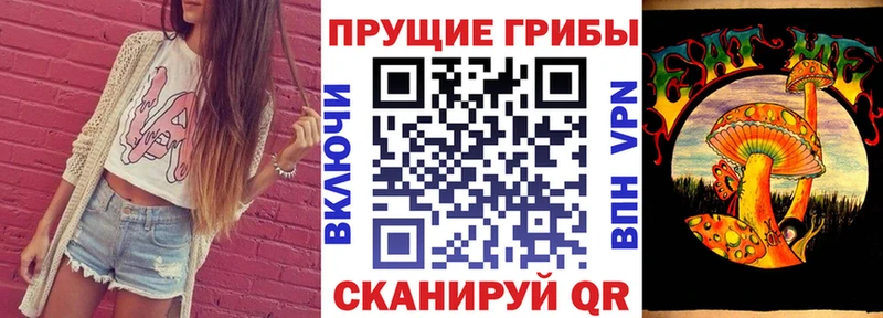 Псилоцибиновые грибы Cubensis Нестеров